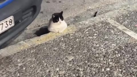 He looks like he’s been waiting on a cab for 45 minutes 🤣
