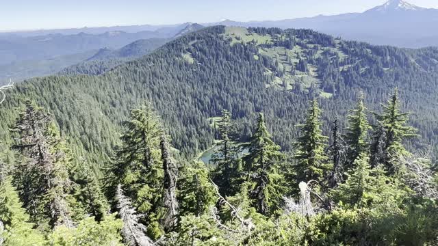 Nine Mountain Panorama from the Summit of Crescent Mountain – Central Oregon – 4K