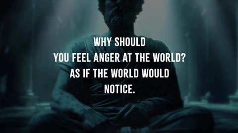 Let Go of Anger and Embrace the Worlds Indifference