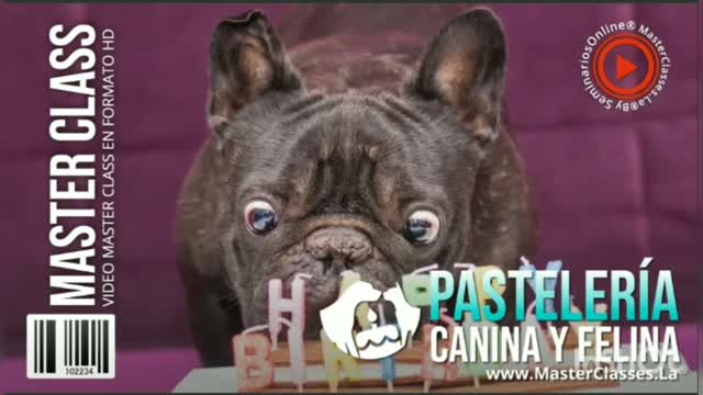 PASTELERÍA CANINA Y FELINA