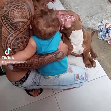Pit Bull e crianças