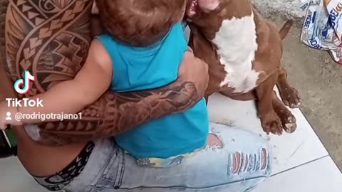 Pit Bull e crianças