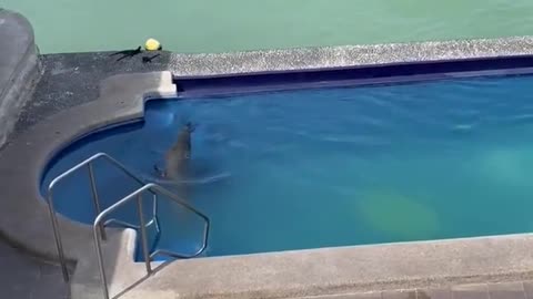 Sir, move over.