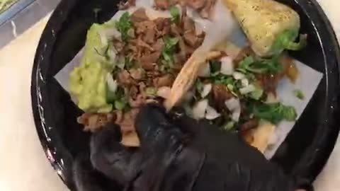 tacos