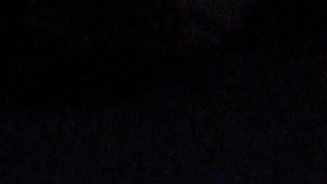 Собака лежит и спит