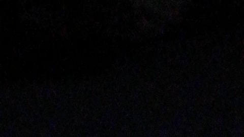 Собака лежит и спит