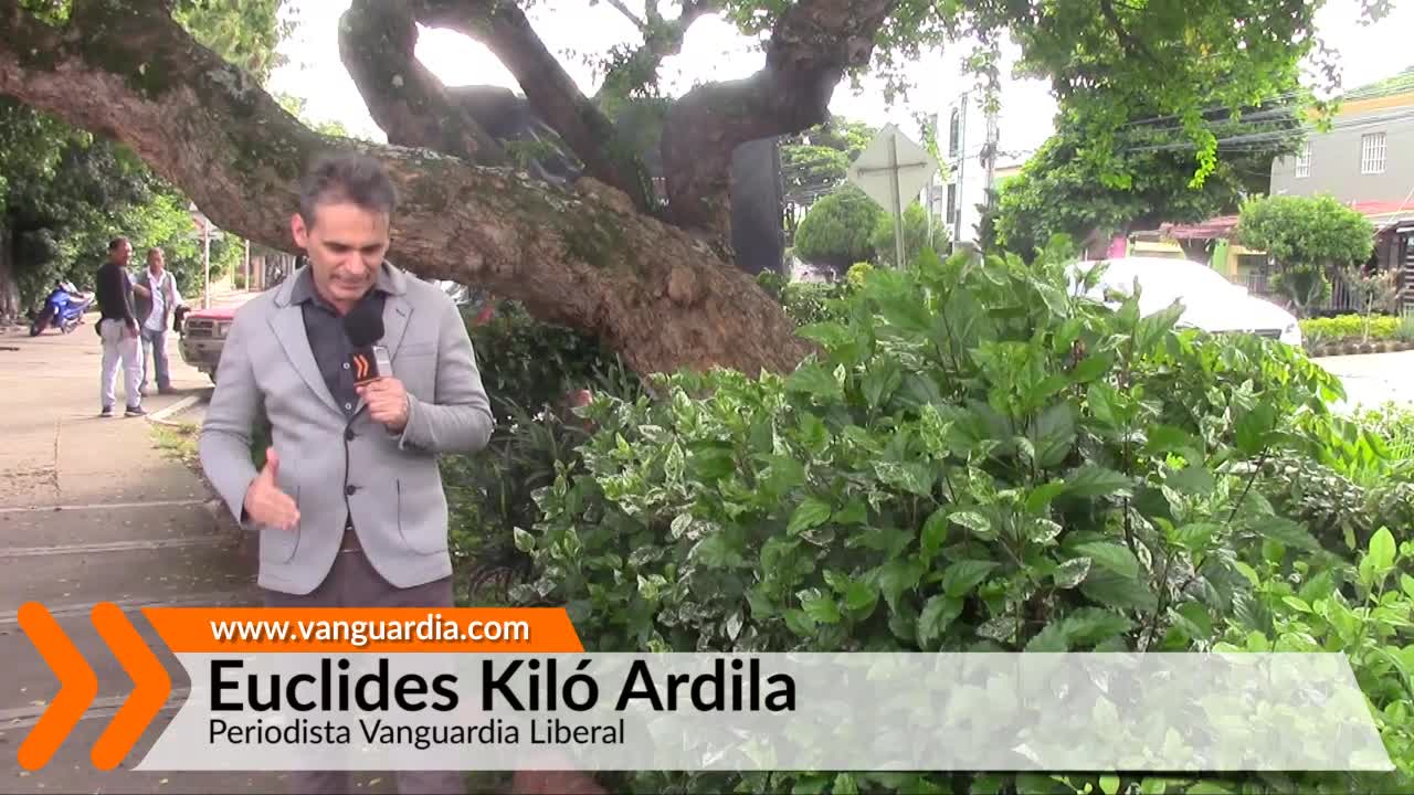Vanguardia en La Victoria