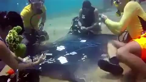 hide his wife into the sea to play cards