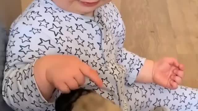 Super cute baby playing with pug dog baby