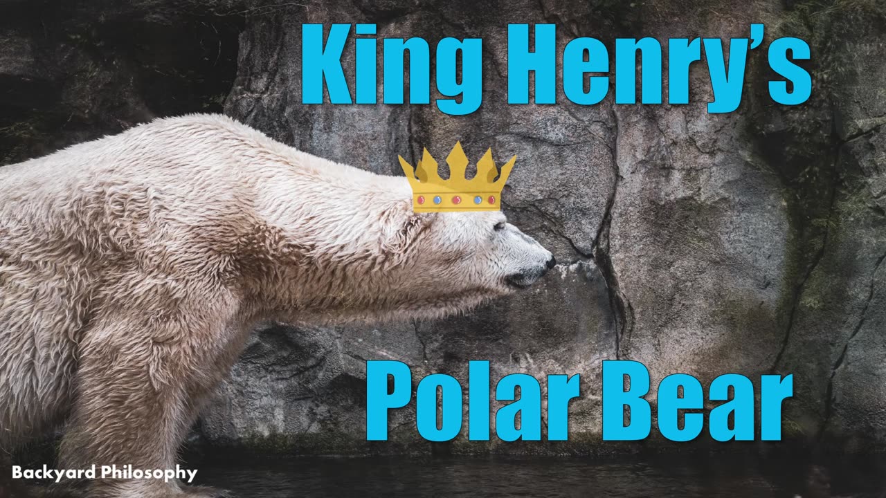 King Henry Gifted A ... PET POLAR BEAR!