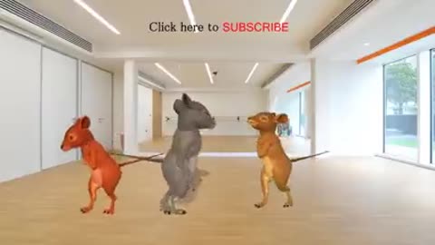 Rat dance