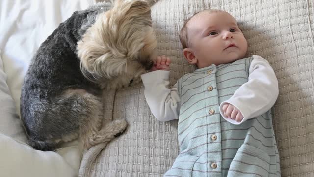 Cute baby and dog