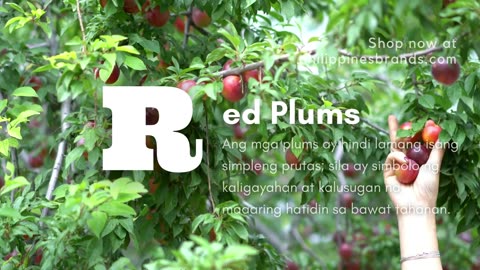 Red Plums sa Pilipinas