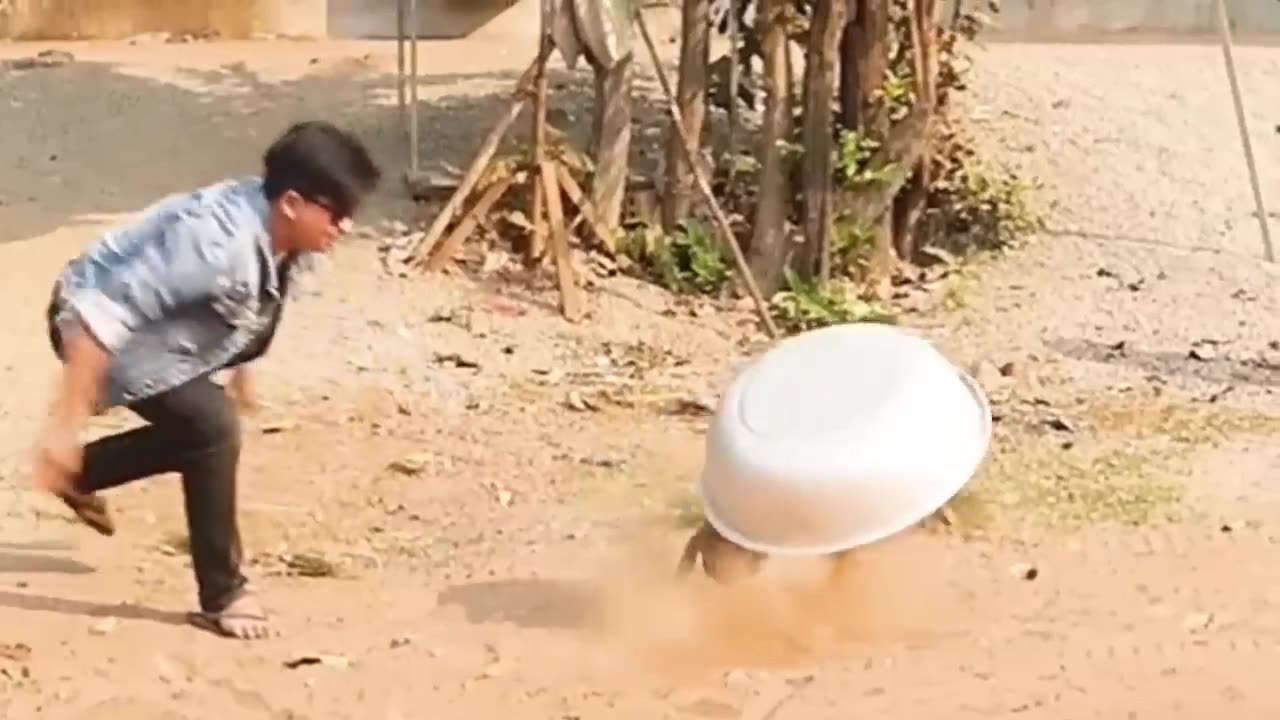 Troll prank dog funny_fake tiger dog and fake lion to dog