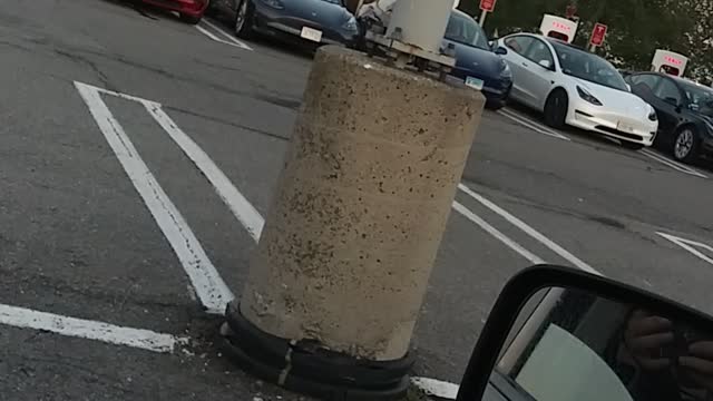Electric cars station
