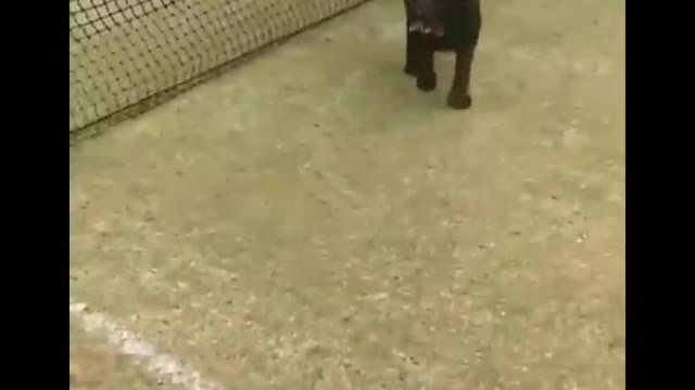 IF YOU HAVEA BAD DAY WATCH THIS