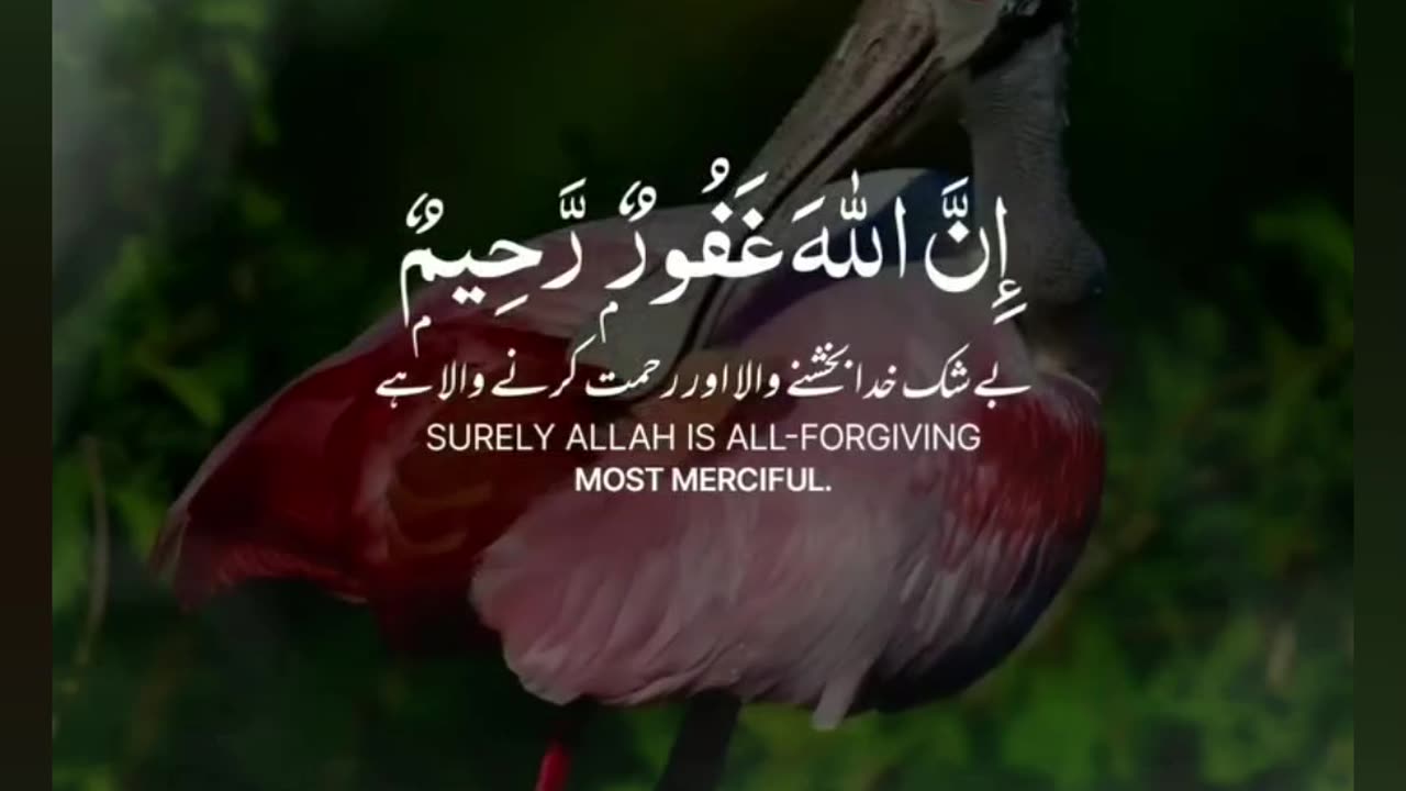 Indeed Allah is the most Merciful