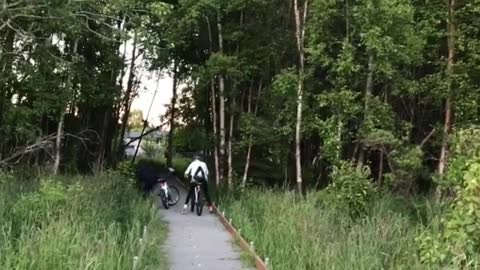 Collab copyright protection - all black falls off bike into grass