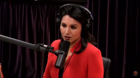 Tulsi Gabbard on censorship of non-establishment voices