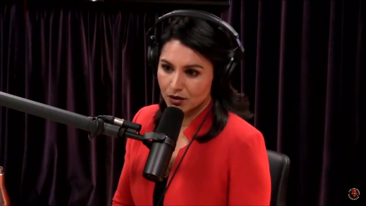 Tulsi Gabbard on censorship of non-establishment voices
