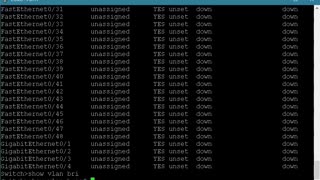 Cisco 2960 Basic Switch Configuration