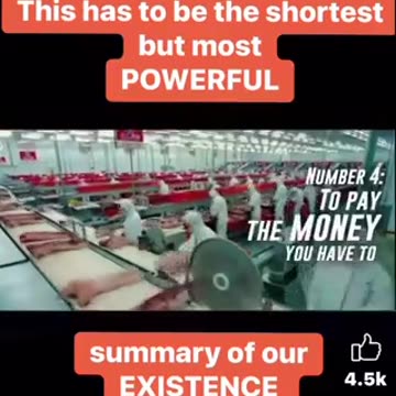 🚨🚨🚨 You are all living in a world of lies, Wake up...!!!!