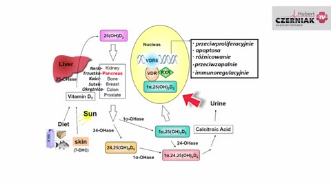 Hubert Czerniak TV - Fakty i mity o witaminie D3! Lepiej usiądźcie - ta wiedza Was zaskoczy! #D3