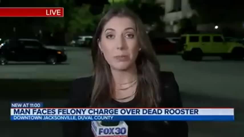 Man arrested for killing rooster in self defense