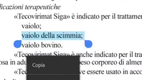 Pare che in Gazzetta ufficiale già sapevano tutto