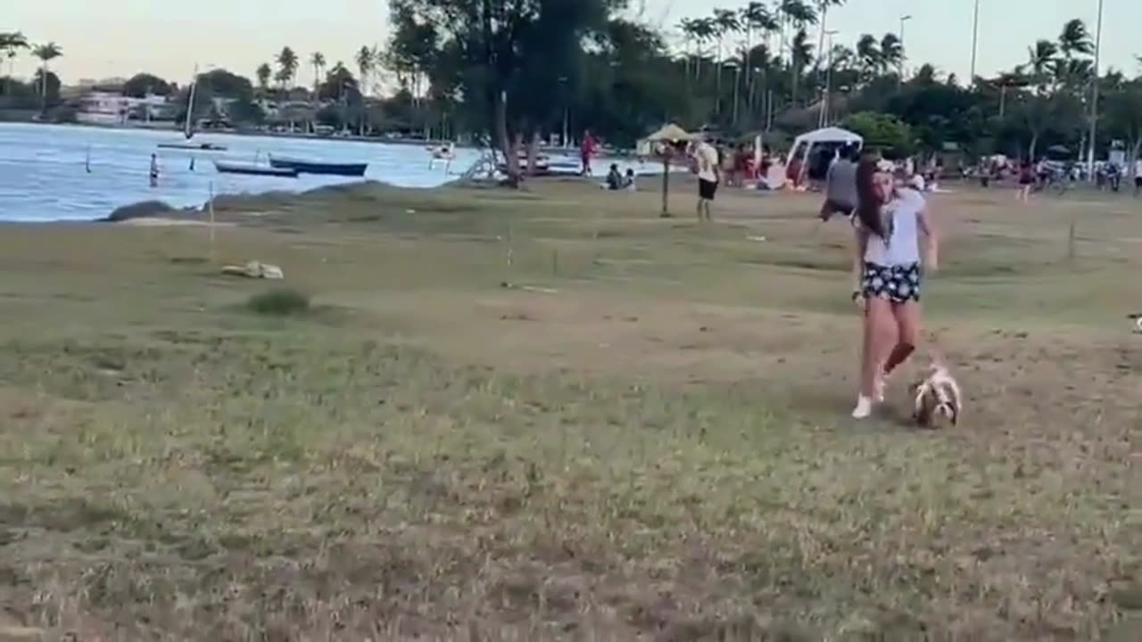 Dog Playfully Bumps Girl, Leading to a Trip and Fall