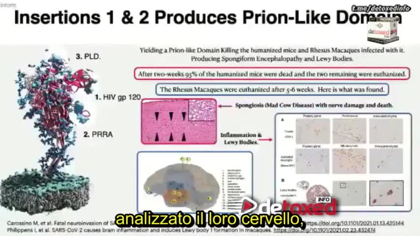 Il covid è un'arma biologica