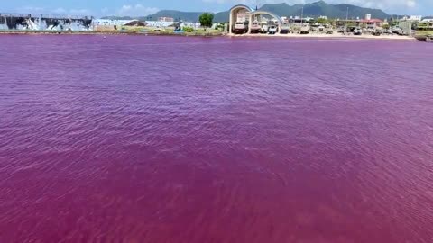 Beer factory leak turns #Japanese port red