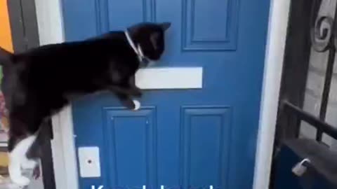 OPEN THE DOOR I’AM 😂BACK!!