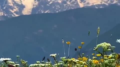Beautiful Nature