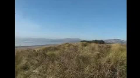 Aliens Ships On NZ Shore