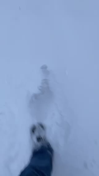 Powdah! First prints