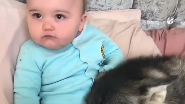 Cute Baby playing with their pet dog