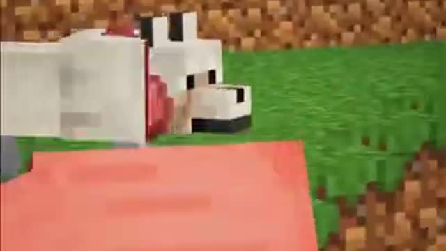 Minecraft #tiktok #Shorts