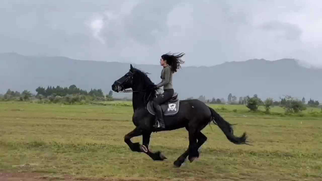 women's horse racing