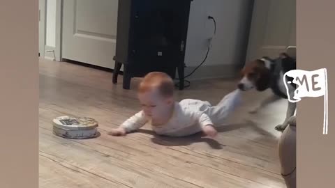 cute dog and baby play time