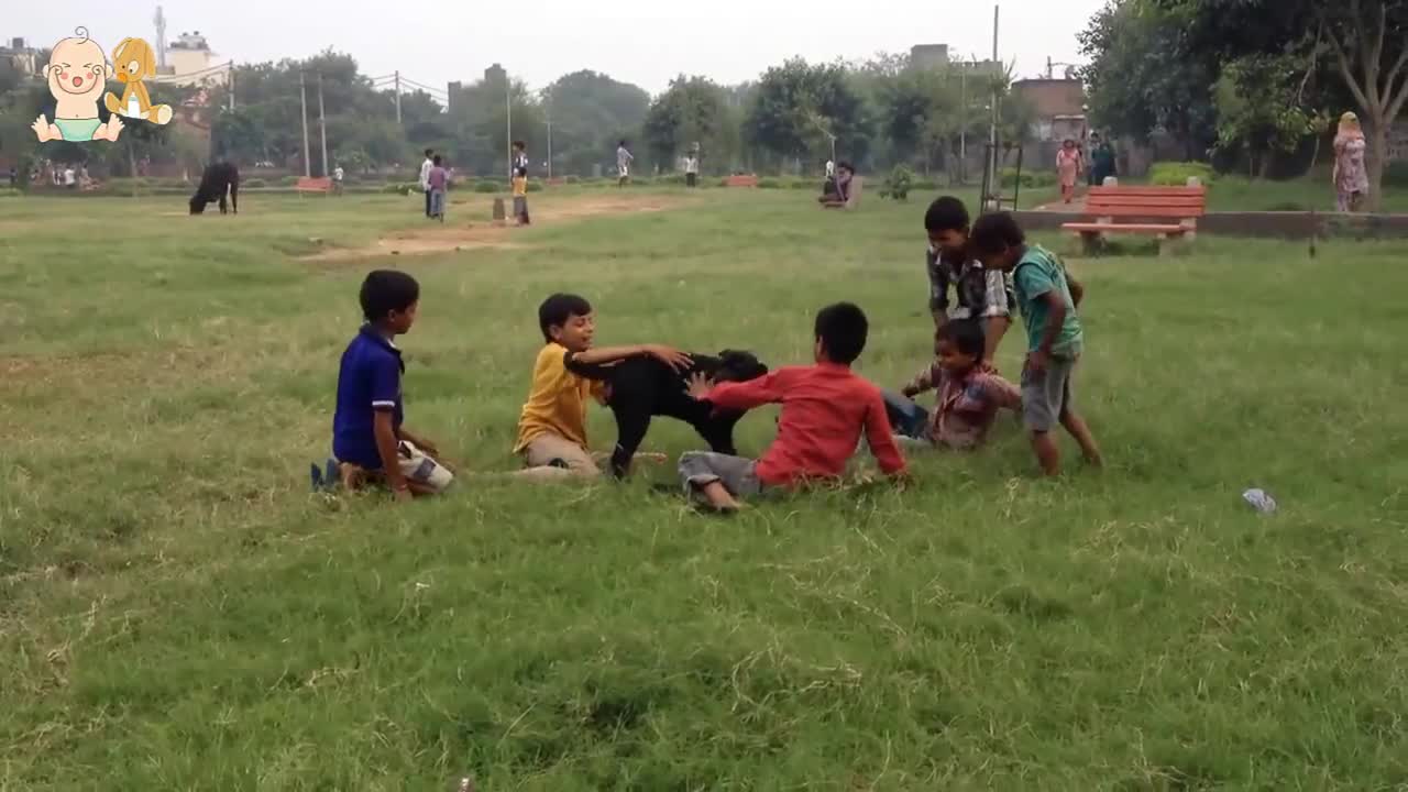 Rottweiler Puppy And Baby Playing Together