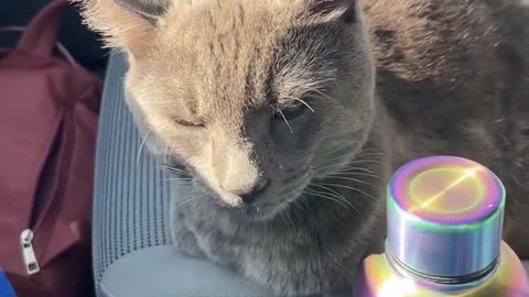 "we are so lucky to have our sweet boy"