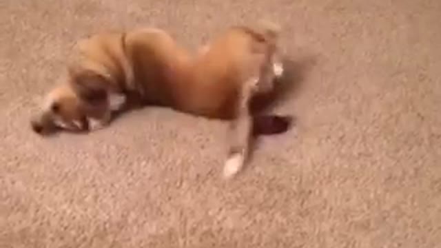 I think its broken