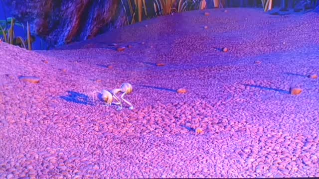 Ants end clip