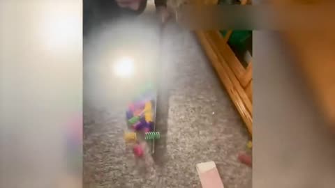 Смешные коты с озвучкой.