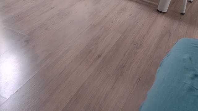 kitten playing alone very crazy