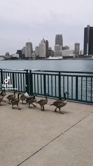 Convoy heading to Ottawa