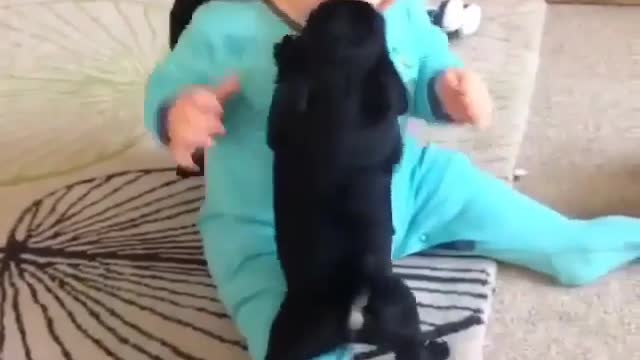 This is amazing! puppy