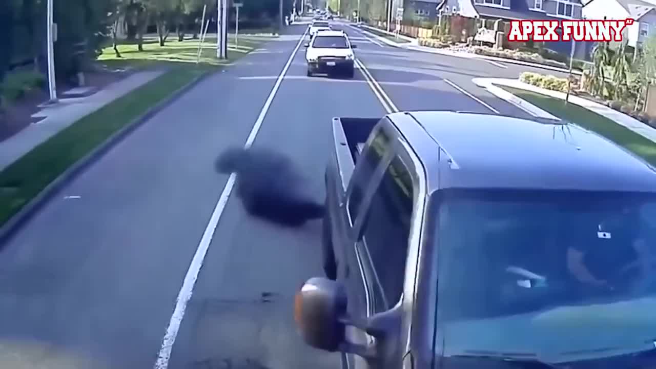 Best Videos Funny Fails Funny-100% Laugh