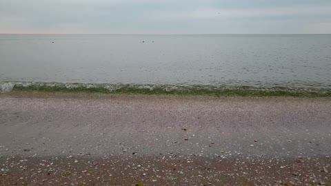 the calmness of the sea on the beach